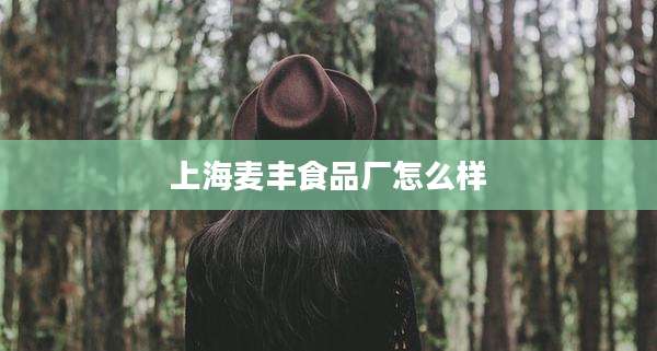 上海麦丰食品厂怎么样