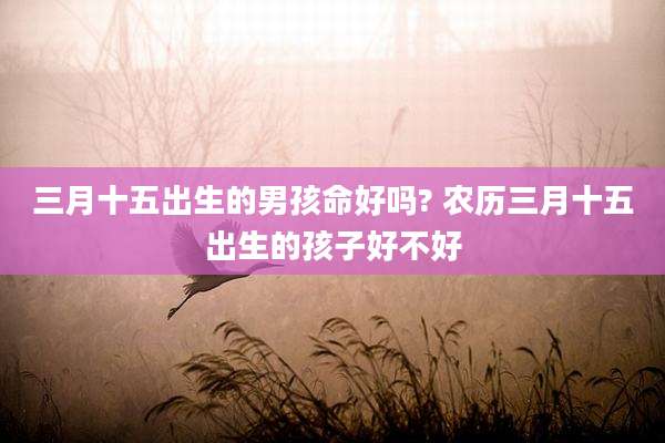 三月十五出生的男孩命好吗? 农历三月十五出生的孩子好不好