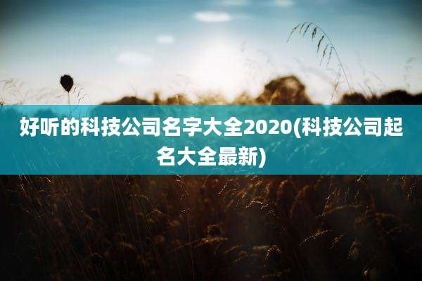 好听的科技公司名字大全2020(科技公司起名大全最新)