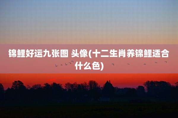 锦鲤好运九张图 头像(十二生肖养锦鲤适合什么色)