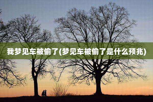 我梦见车被偷了(梦见车被偷了是什么预兆)