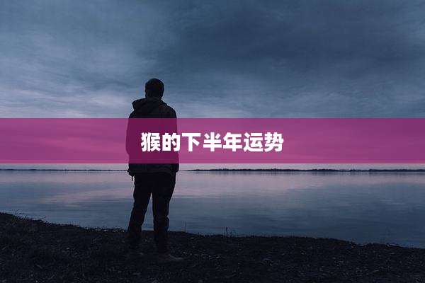 猴的下半年运势