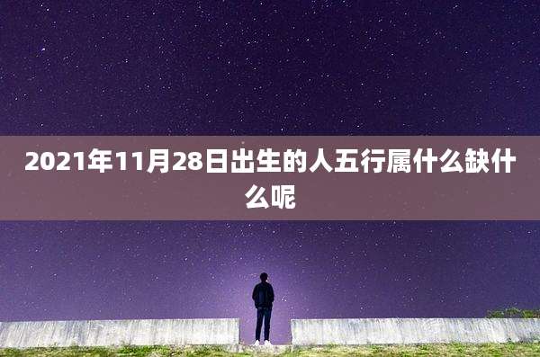 2021年11月28日出生的人五行属什么缺什么呢