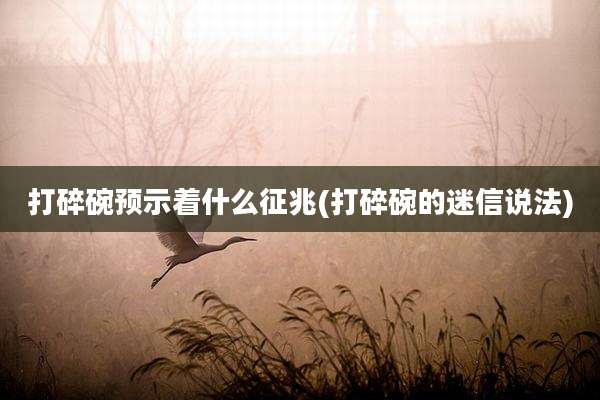 打碎碗预示着什么征兆(打碎碗的迷信说法)