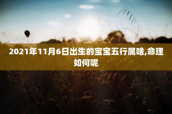 2021年11月6日出生的宝宝五行属啥,命理如何呢