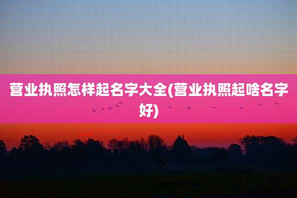 营业执照怎样起名字大全(营业执照起啥名字好)