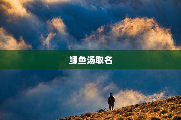鲫鱼汤取名