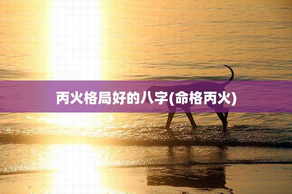丙火格局好的八字(命格丙火)