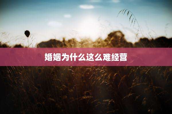 婚姻为什么这么难经营