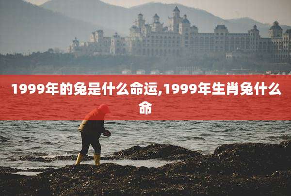1999年的兔是什么命运,1999年生肖兔什么命