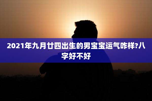 2021年九月廿四出生的男宝宝运气咋样?八字好不好