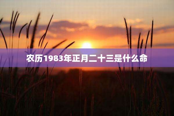 农历1983年正月二十三是什么命
