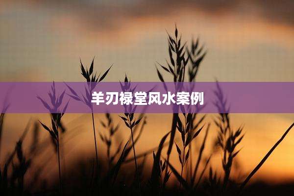 羊刃禄堂风水案例