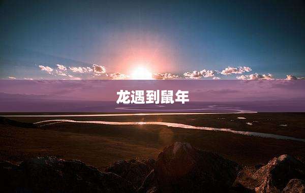 龙遇到鼠年