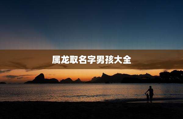 属龙取名字男孩大全