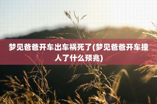 梦见爸爸开车出车祸死了(梦见爸爸开车撞人了什么预兆)