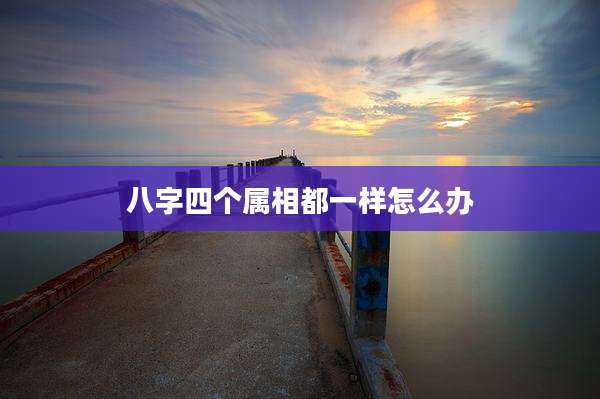 八字四个属相都一样怎么办