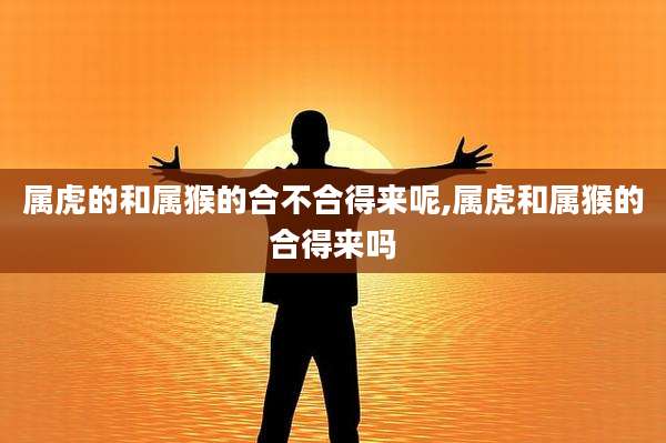 属虎的和属猴的合不合得来呢,属虎和属猴的合得来吗