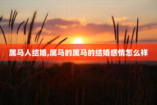 属马人结婚,属马的属马的结婚感情怎么样