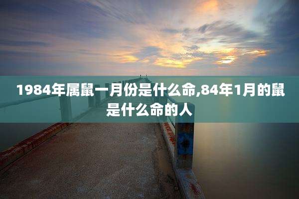 1984年属鼠一月份是什么命,84年1月的鼠是什么命的人