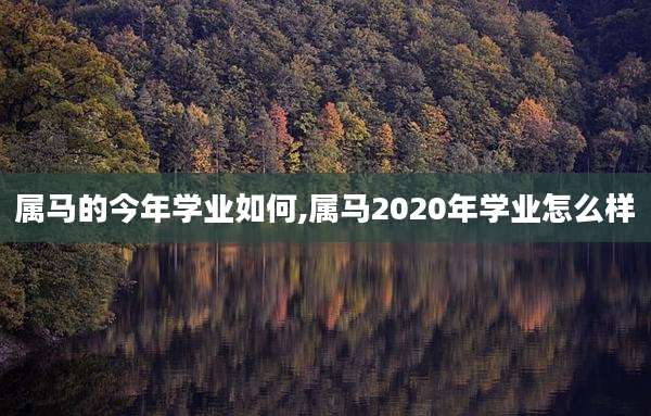 属马的今年学业如何,属马2020年学业怎么样