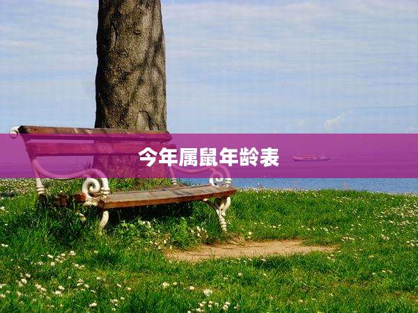 今年属鼠年龄表