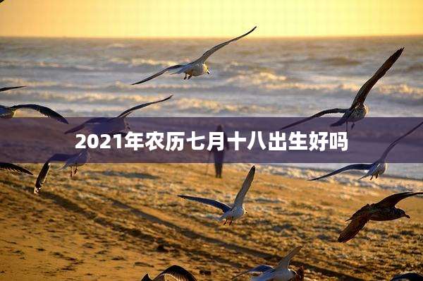 2021年农历七月十八出生好吗