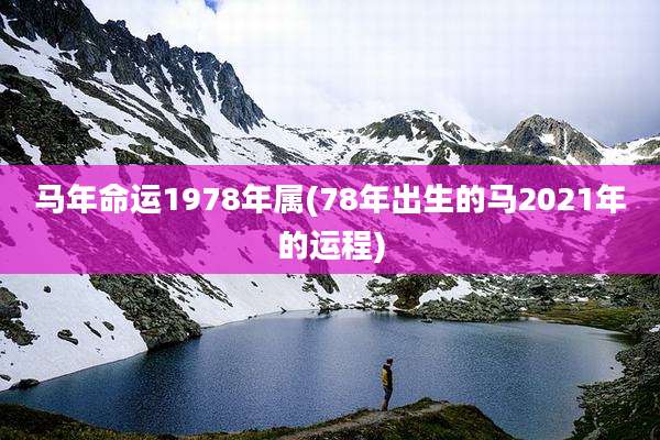 马年命运1978年属(78年出生的马2021年的运程)