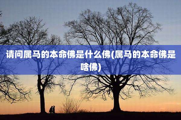 请问属马的本命佛是什么佛(属马的本命佛是啥佛)