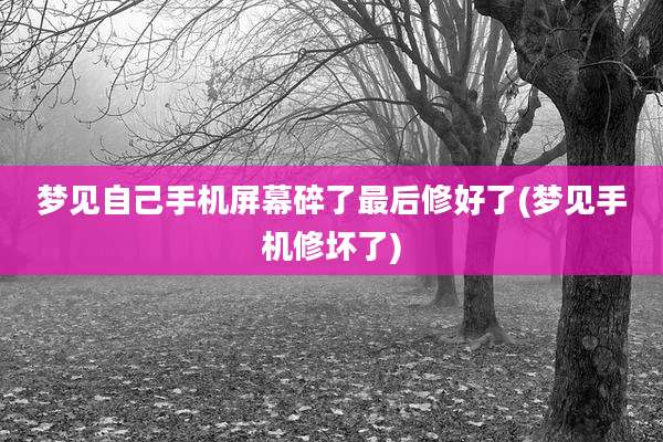 梦见自己手机屏幕碎了最后修好了(梦见手机修坏了)