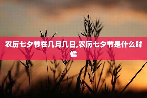 农历七夕节在几月几日,农历七夕节是什么时候