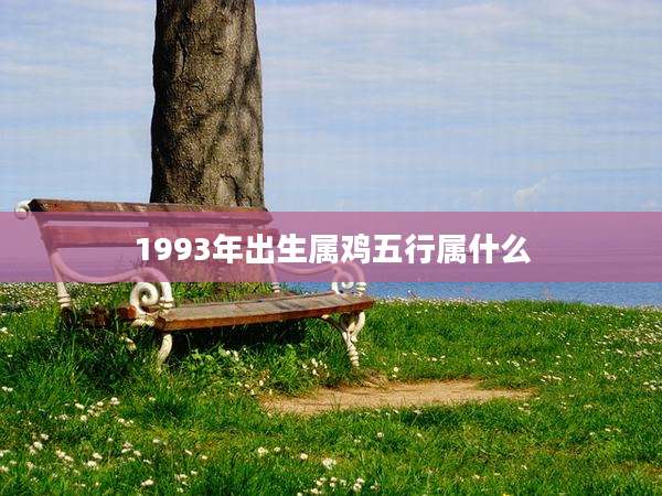 1993年出生属鸡五行属什么