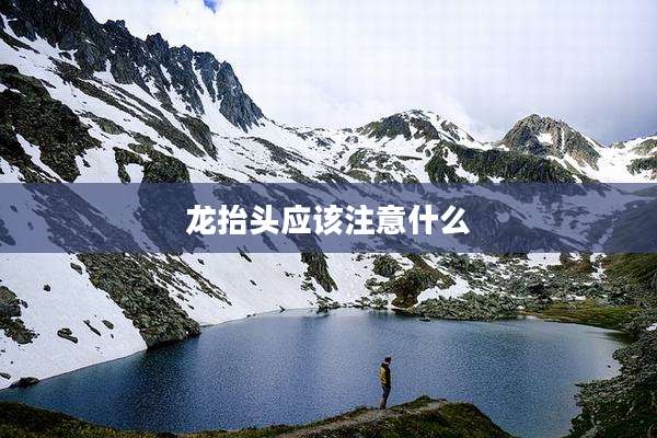 龙抬头应该注意什么