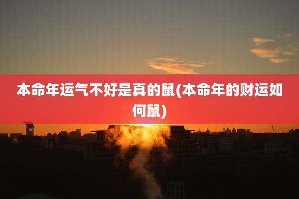 本命年运气不好是真的鼠(本命年的财运如何鼠)