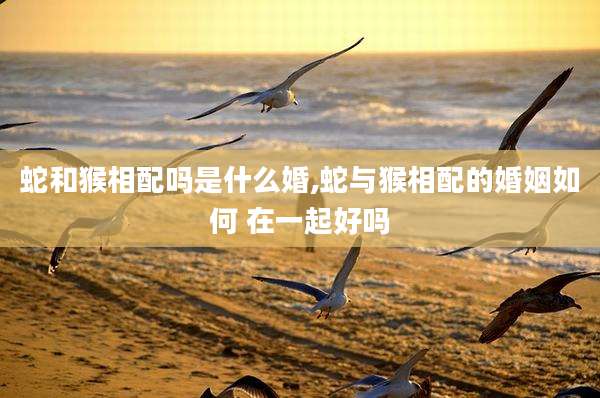 蛇和猴相配吗是什么婚,蛇与猴相配的婚姻如何 在一起好吗