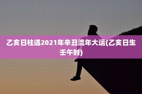 乙亥日柱遇2021年辛丑流年大运(乙亥日生壬午时)