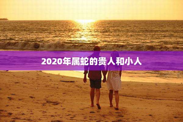 2020年属蛇的贵人和小人