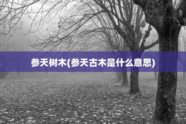 参天树木(参天古木是什么意思)
