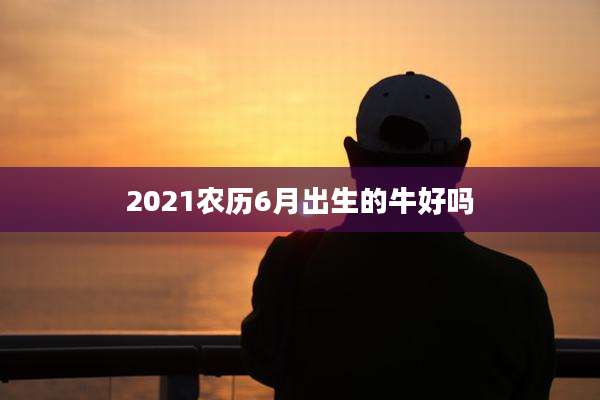 2021农历6月出生的牛好吗