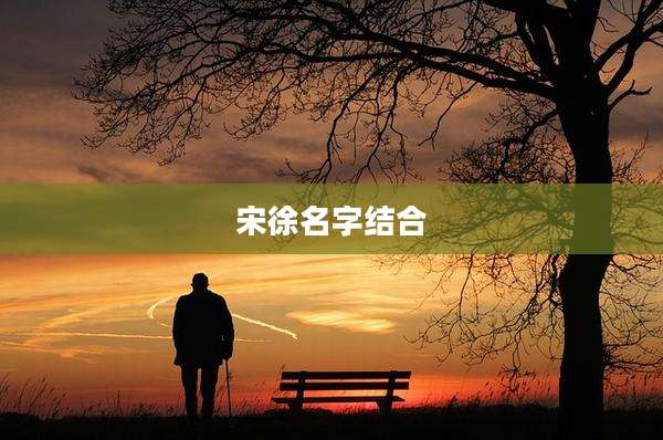 宋徐名字结合