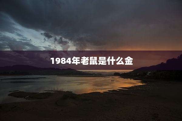 1984年老鼠是什么金