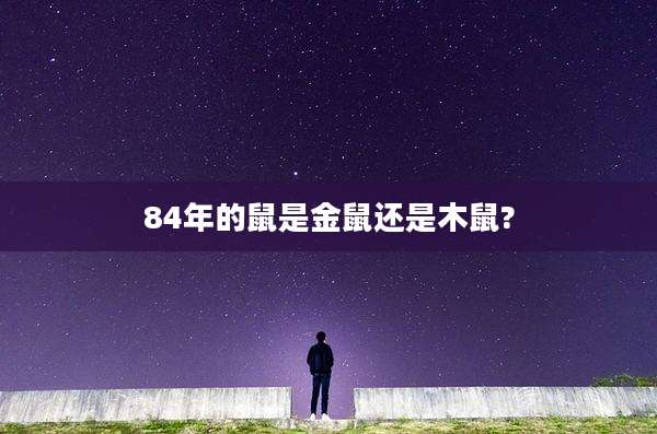 84年的鼠是金鼠还是木鼠?