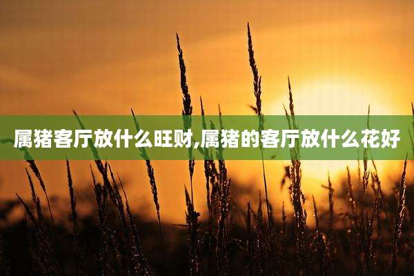 属猪客厅放什么旺财,属猪的客厅放什么花好