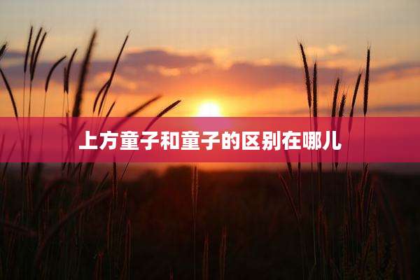 上方童子和童子的区别在哪儿