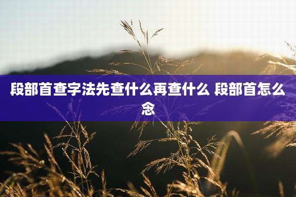 段部首查字法先查什么再查什么 段部首怎么念