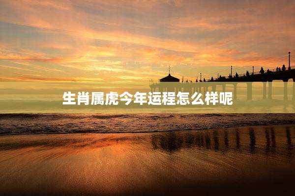 生肖属虎今年运程怎么样呢