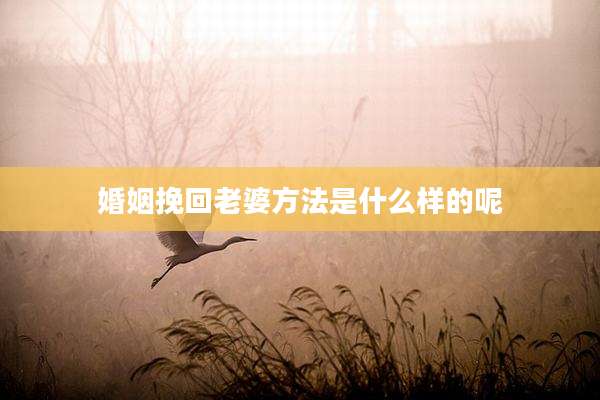 婚姻挽回老婆方法是什么样的呢