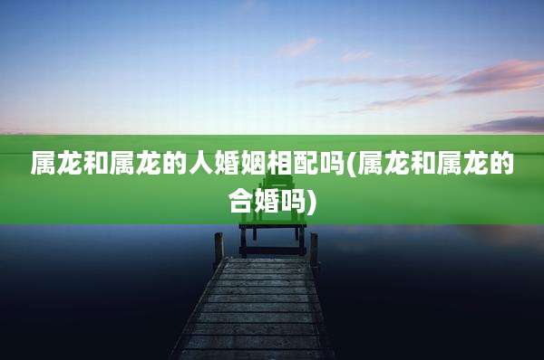 属龙和属龙的人婚姻相配吗(属龙和属龙的合婚吗)