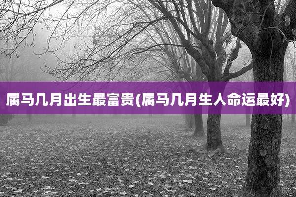 属马几月出生最富贵(属马几月生人命运最好)