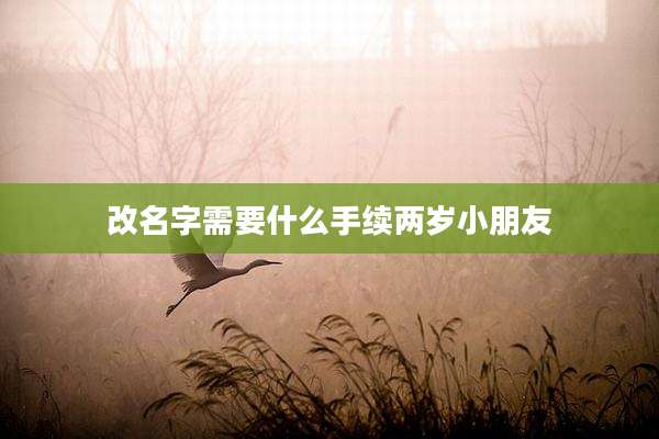 改名字需要什么手续两岁小朋友